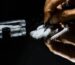 Cocaine in Tweed Heads: Myths Facts and Real Risks